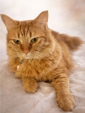 Meet your Posher, Marisa